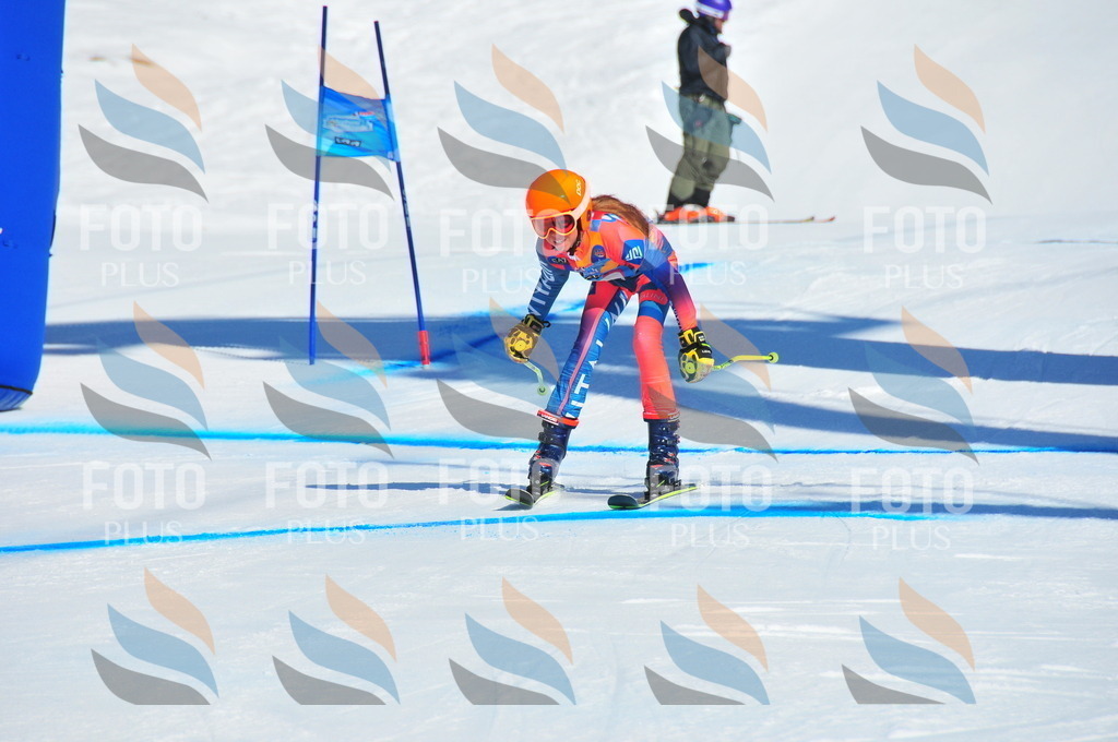 DSC_3740 | holidayphoto