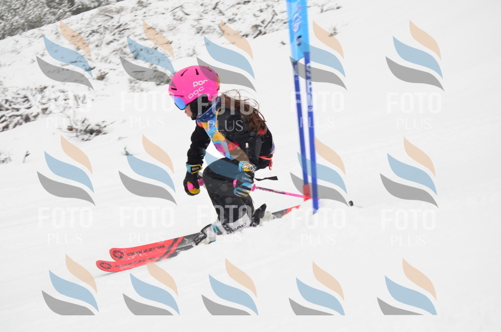 C0679 | holidayphoto