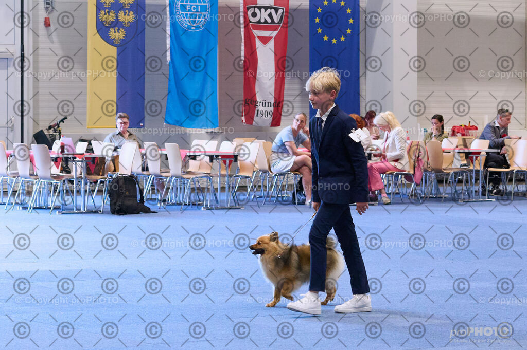 202406_ÖKV-IHA-Tulln24_DSC_3536 | proPHOTO - Realisiert mit Pictrs.com