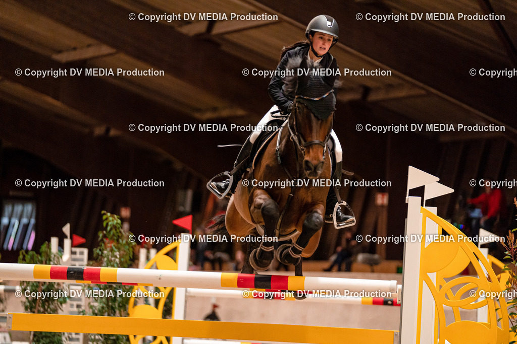 Springen Tag 1-599 | dv-media-shop - Realisiert mit Pictrs.com