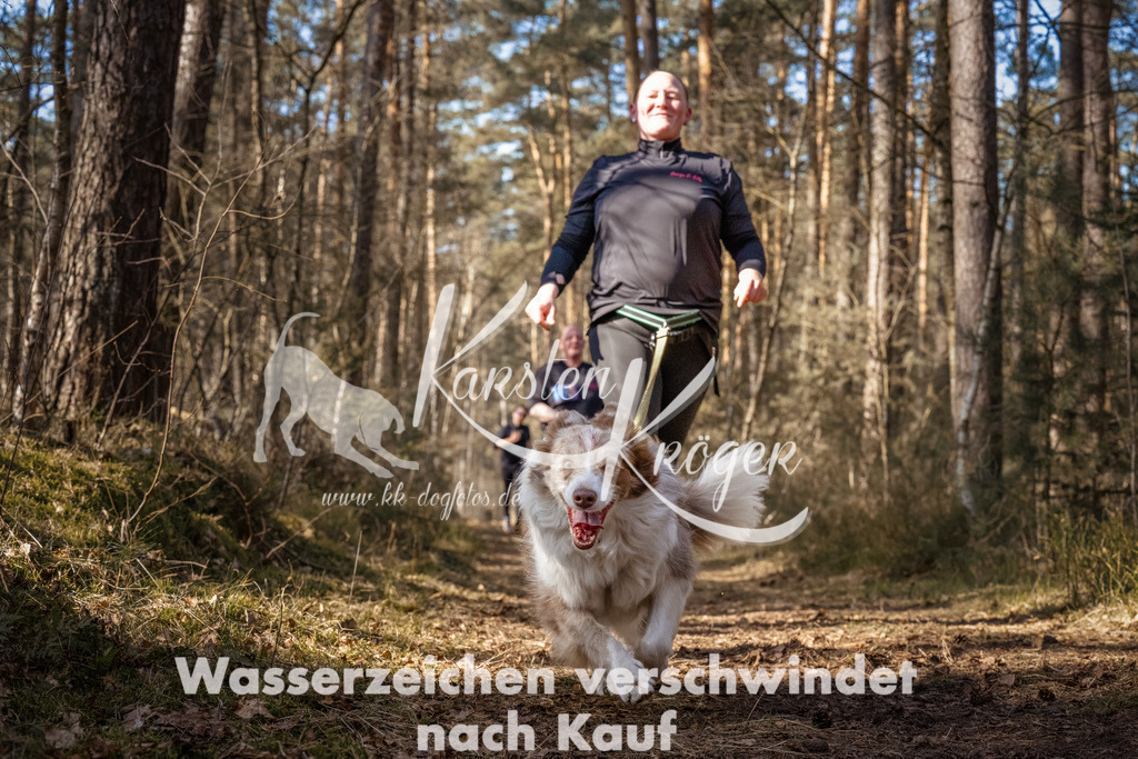 1218_ZZ93248-Bearbeitet | kk-dogfotos