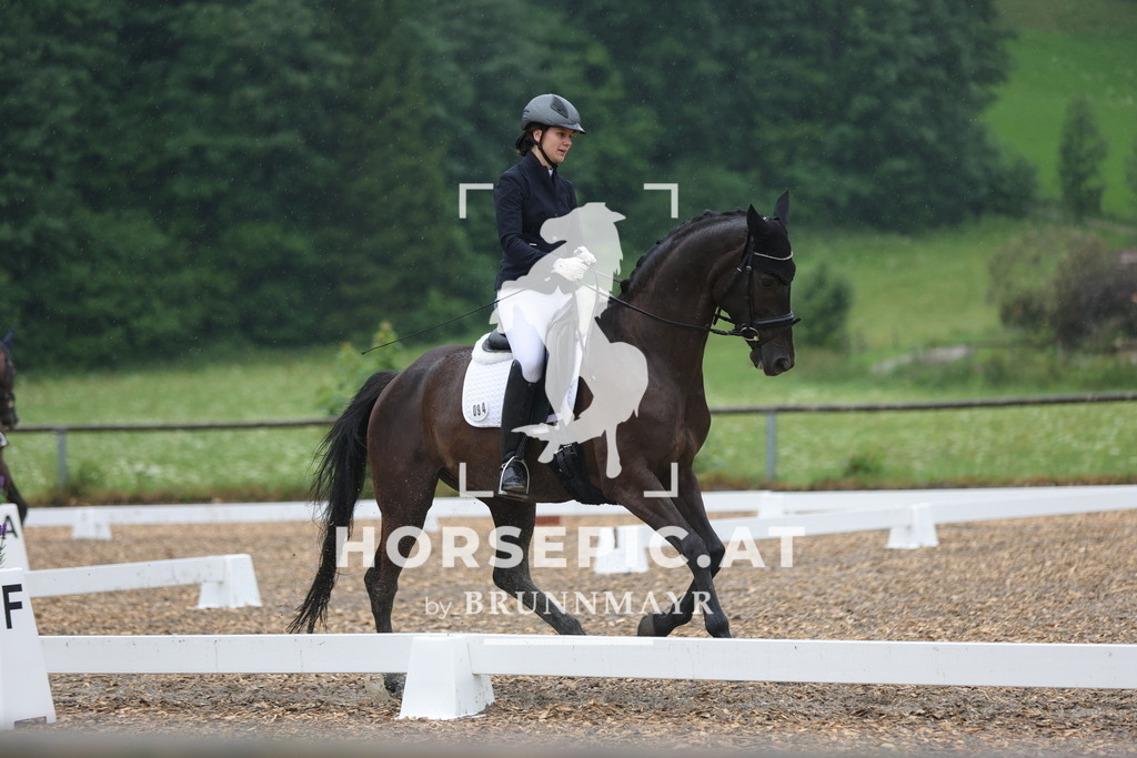 0P6A8069 | Willkommen bei Brunnmayr - Design & Fotografie – Ihrem Spezialisten für Reitturniere und Pferdeveranstaltungen in Oberösterreich, Salzburg und Bayern! Seit über 17 Jahren sind wir leidenschaftlich dabei.