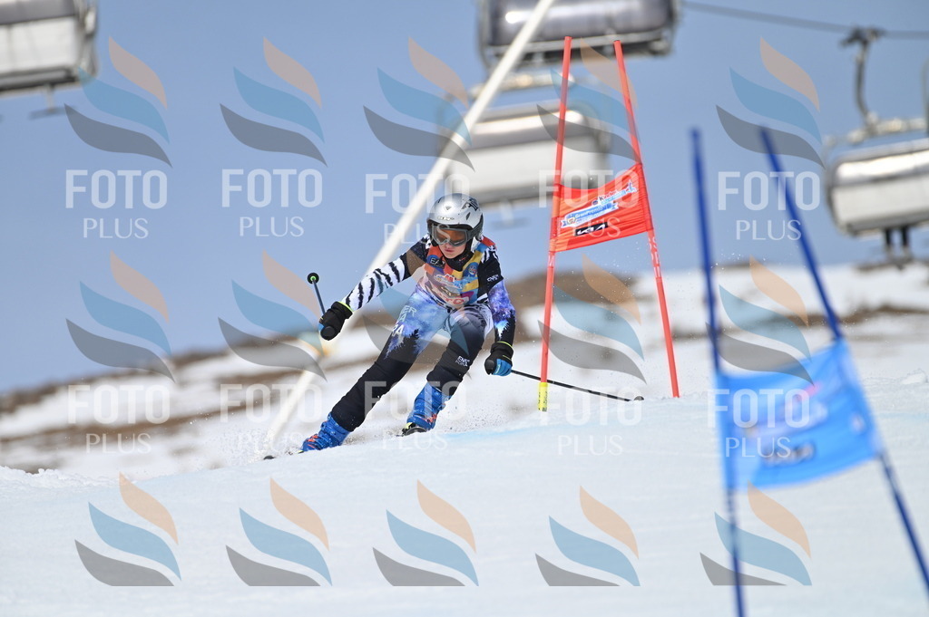 BGV_4024 | holidayphoto