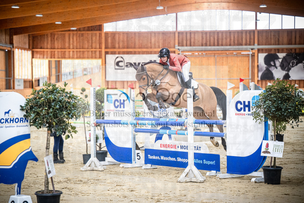 DOS_0121 | Entdecke hochwertige Reitturnierfotos von Foto Oger. Professionell, emotional und authentisch – jetzt Lieblingsmomente im Shop bestellen.Deutschlandweite Turnierfotografie. - Realisiert mit Pictrs.com