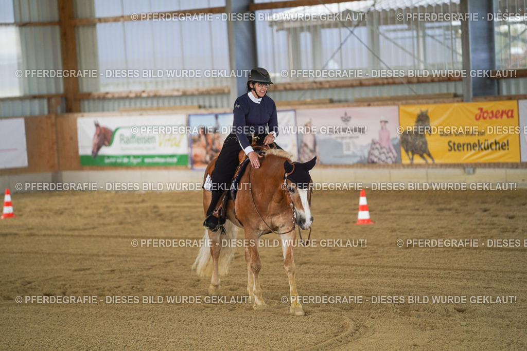 DSC09816 | Pferdegrafie