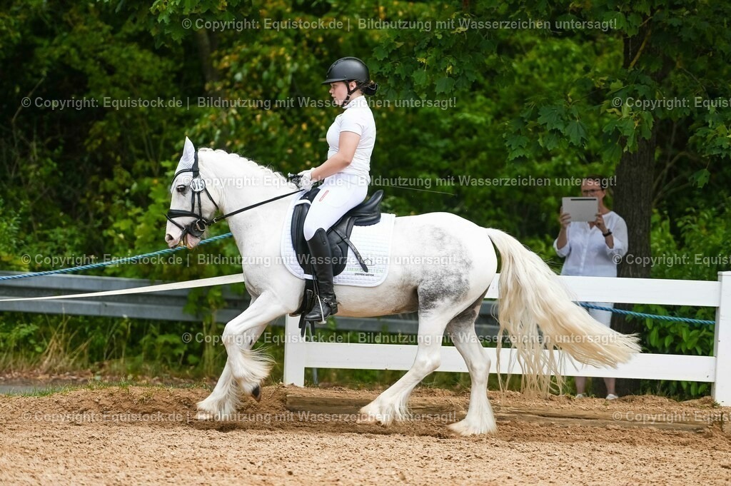 20230715_05_Dressurprüfung Kl.A++_0272 | equistock