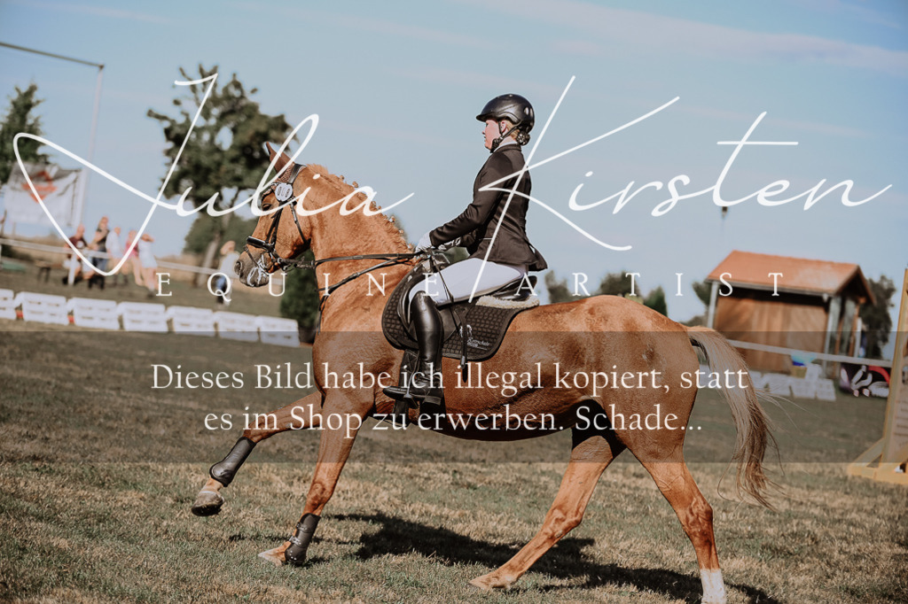 DSC_9341 | Pferde- und Turnierfotografie in Westsachsen. Pferdeportraits, Auftragszeichnungen und intuitive Kunst.