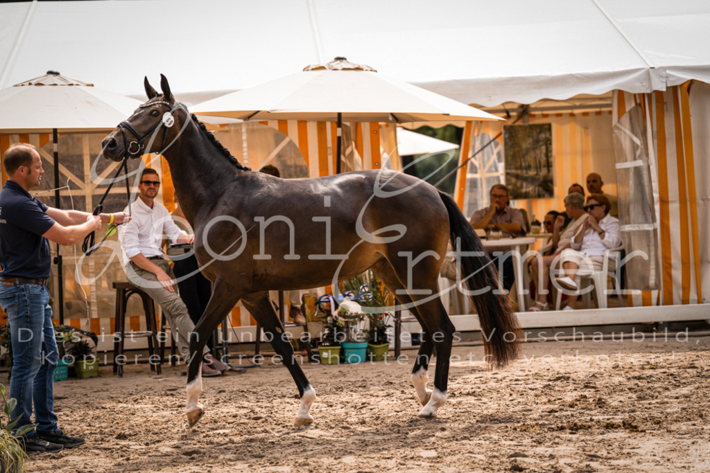 6.Fr00078 | Leoni Ertmer Photography - Realisiert mit Pictrs.com