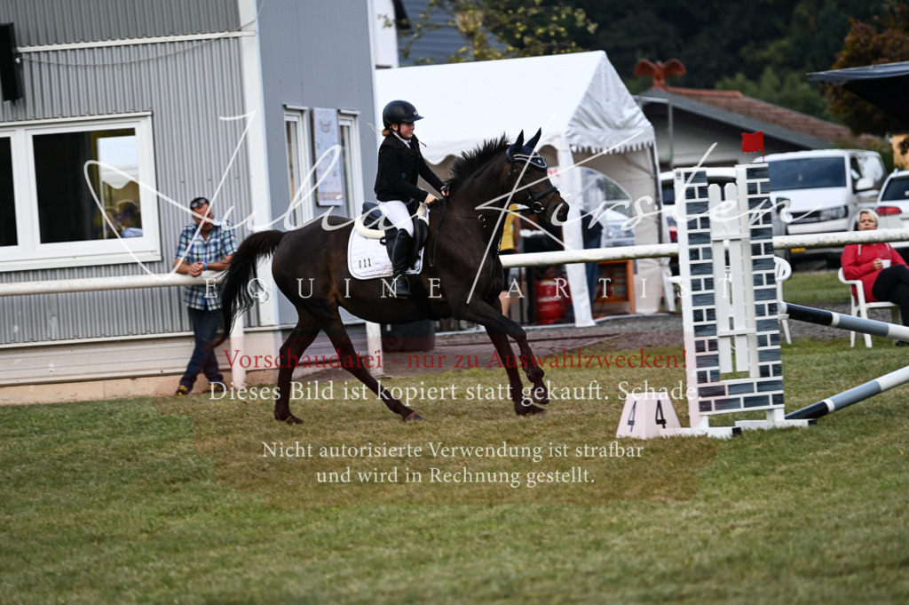 DSC_5581 | Pferde- und Turnierfotografie in Westsachsen. Pferdeportraits, Auftragszeichnungen und intuitive Kunst.