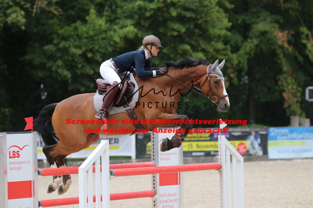 IMG_8030 | lmwpictures - Realisiert mit Pictrs.com