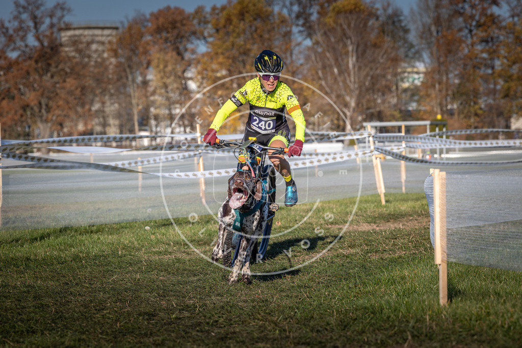 CaniXpix_0L8A4830 | Hundefotografie, Tierfotograf, Pfotenfotografie, Fotoshooting Hund, Hunde Portrait, Hundesport, Hundeportraits, Heideshooting, Hunde, Sportfotograf, Hundefotograf, Turnierhundsport, THS,  - Realisiert mit Pictrs.com
