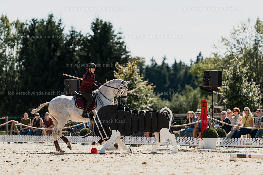 Kelly4_FHC2025-08887 | working equitationturnier fotograf videograf stoibphotography marixx film working equitation deutschland reitsport turnierfotografie eventfotografie equestrian events