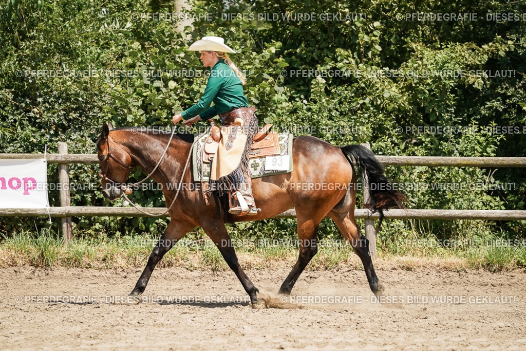 DSC09390 | Pferdegrafie