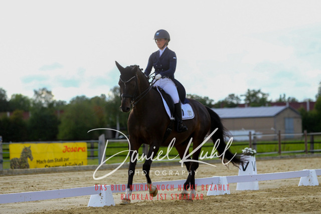 DKP44688 | Turniersportfotografie; Pferdefotografie; Dressurfotografie