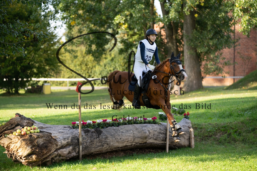 A7V03063 | Turnier/Reitfotograf