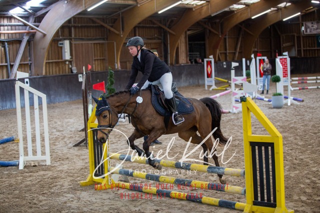 IMG_1787 | Turniersportfotografie; Pferdefotografie; Dressurfotografie