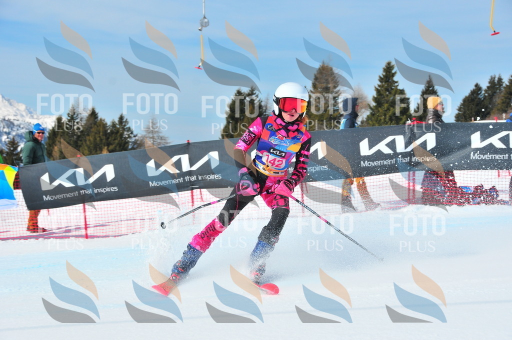 DSC_5002 | holidayphoto