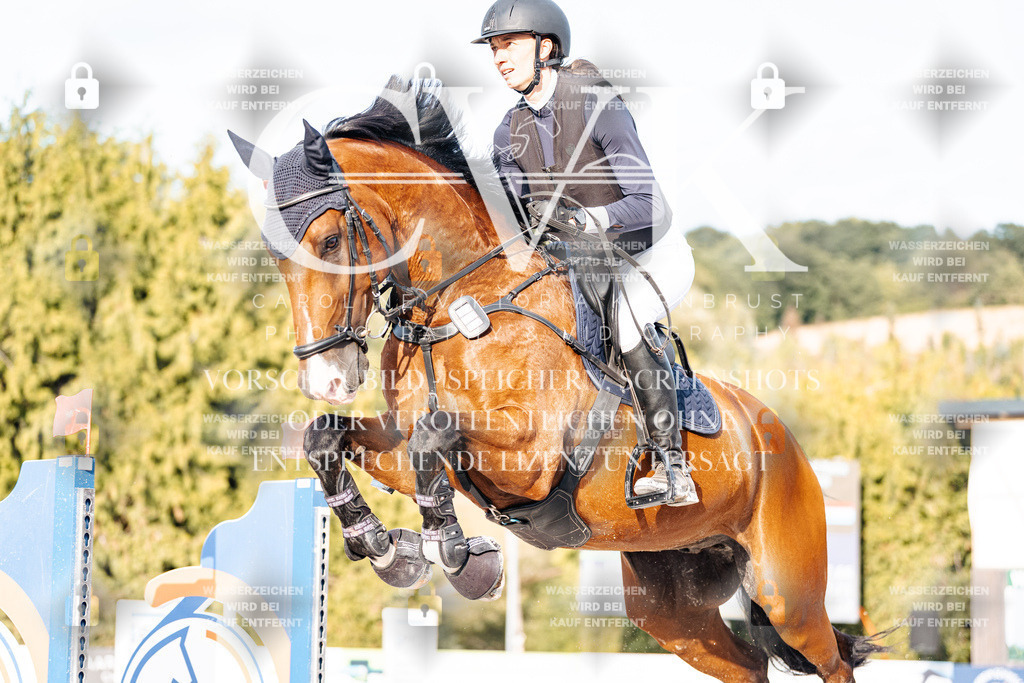 CK903365 | Turnierfotografie Pferdefotografie Trier Rheinland-Pfalz Pferdesport Reitsport Tierfotografie Sportfotografie Pferdevideo Pferdevideografie Equestrianvideography equestrianphotography  - Realisiert mit Pictrs.com