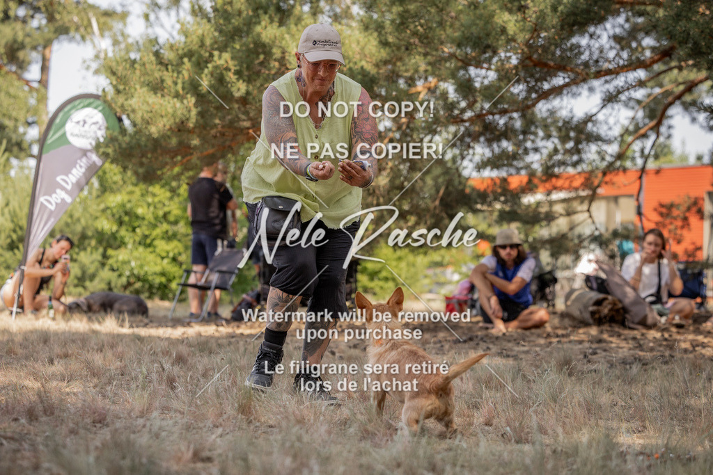 nelerasche_soDD2_34 | nelerasche
