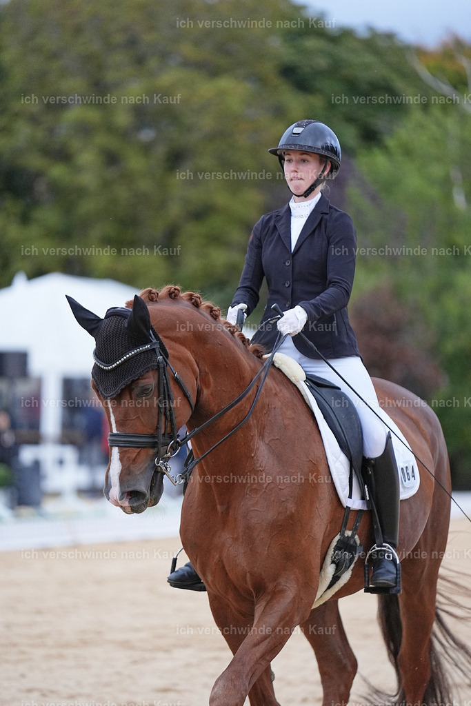 04_2-064-Dressur M__ -Marixx-3088 | working equitationturnier fotograf videograf stoibphotography marixx film working equitation deutschland reitsport turnierfotografie eventfotografie equestrian events