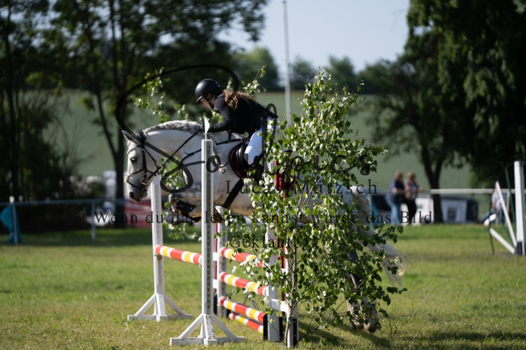 A7V05314 | Pferdefotograf