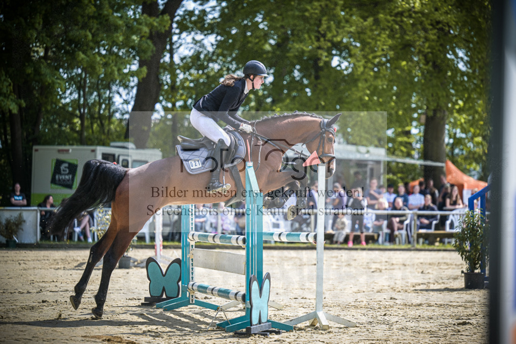 DOS_0288 | Entdecke hochwertige Reitturnierfotos von Foto Oger. Professionell, emotional und authentisch – jetzt Lieblingsmomente im Shop bestellen.Deutschlandweite Turnierfotografie. - Realisiert mit Pictrs.com