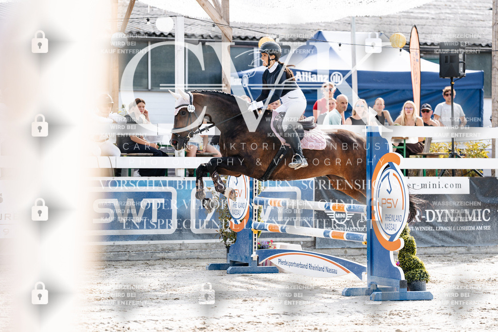 CK905613 | Turnierfotografie Pferdefotografie Trier Rheinland-Pfalz Pferdesport Reitsport Tierfotografie Sportfotografie Pferdevideo Pferdevideografie Equestrianvideography equestrianphotography  - Realisiert mit Pictrs.com