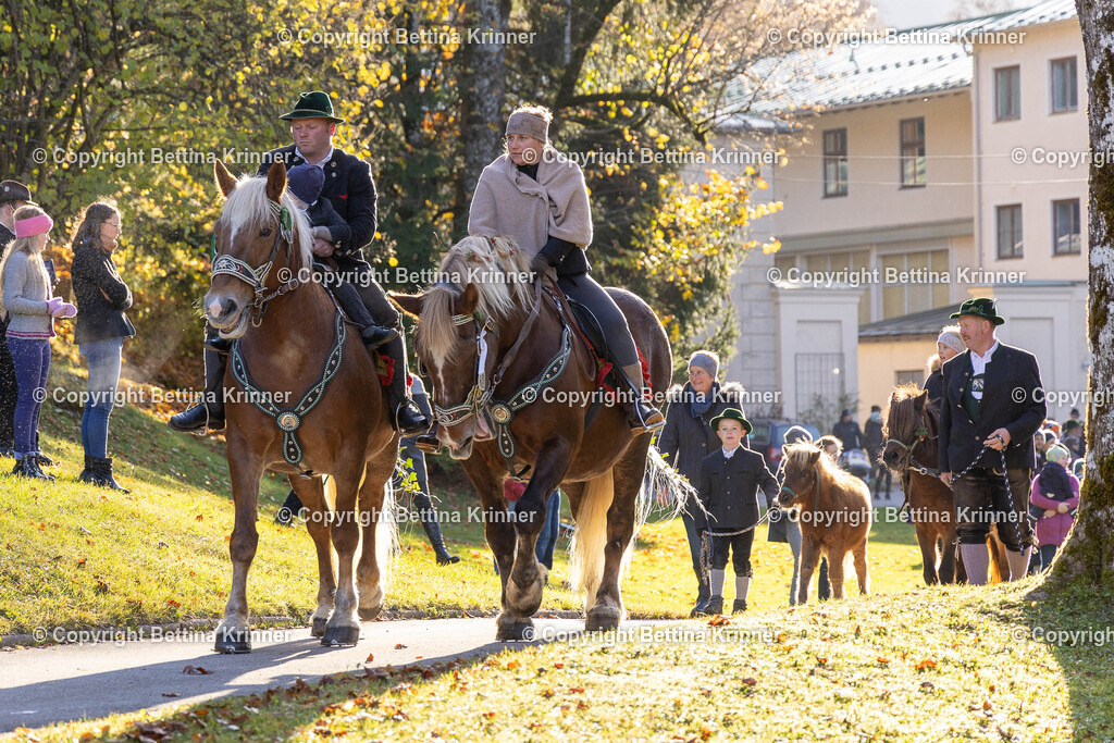 LL24-219 | foto-bettina-krinner - Realisiert mit Pictrs.com