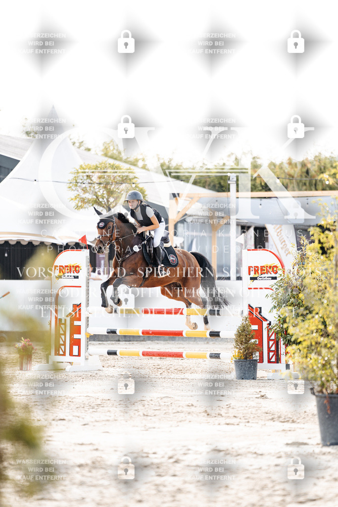 CK906981 | Turnierfotografie Pferdefotografie Trier Rheinland-Pfalz Pferdesport Reitsport Tierfotografie Sportfotografie Pferdevideo Pferdevideografie Equestrianvideography equestrianphotography  - Realisiert mit Pictrs.com