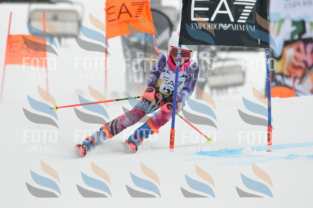 DSC_8271 | holidayphoto