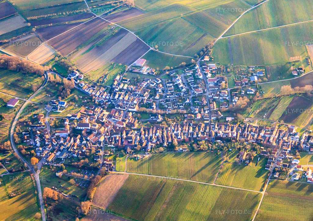 Luftbild: Winzerdorf im Winter zwischen kahlen Weinbergen aus Norden in Göcklingen im Bundesland Rheinland-Pfalz in Deutschland. Foto: IMG_61442.jpg vom 15.12.2013 durch Werner Riehm/FLY-FOTO.de