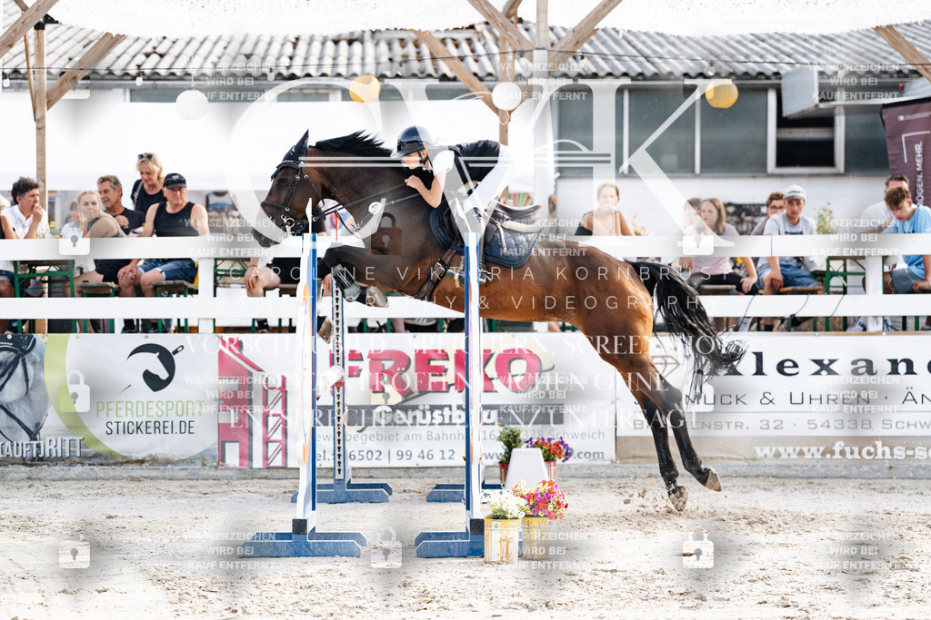 CK906198 | Turnierfotografie Pferdefotografie Trier Rheinland-Pfalz Pferdesport Reitsport Tierfotografie Sportfotografie Pferdevideo Pferdevideografie Equestrianvideography equestrianphotography  - Realisiert mit Pictrs.com