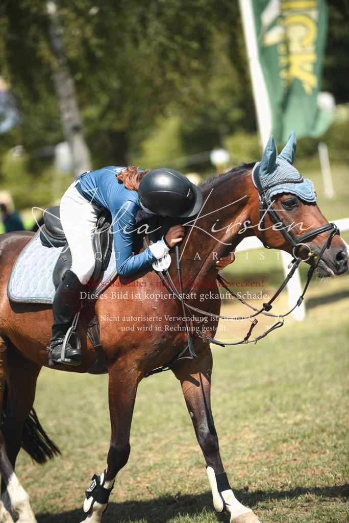 DSC_6780 | Pferde- und Turnierfotografie in Westsachsen. Pferdeportraits, Auftragszeichnungen und intuitive Kunst.