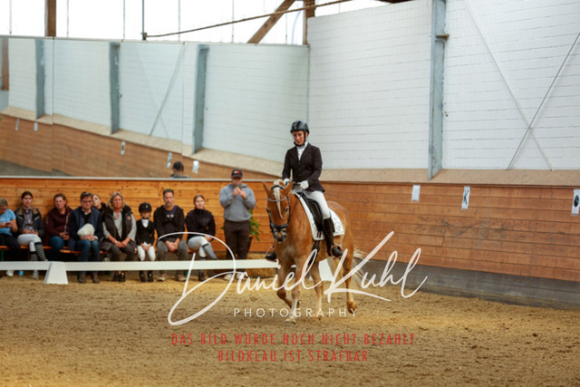 _62_7103 | Turniersportfotografie; Pferdefotografie; Dressurfotografie