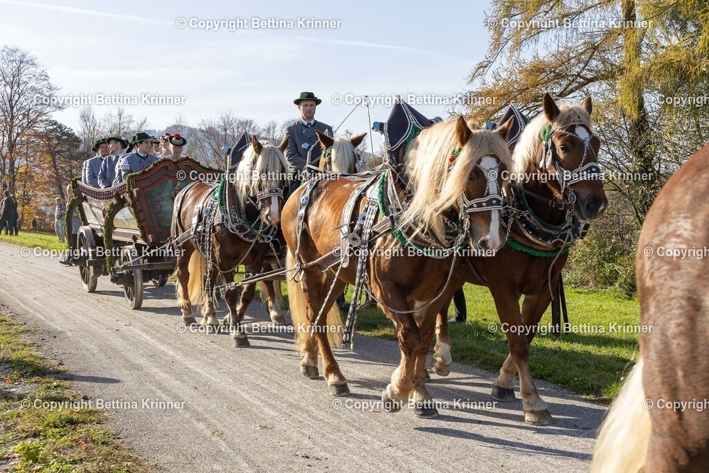 LBT24-1342 | foto-bettina-krinner - Realisiert mit Pictrs.com