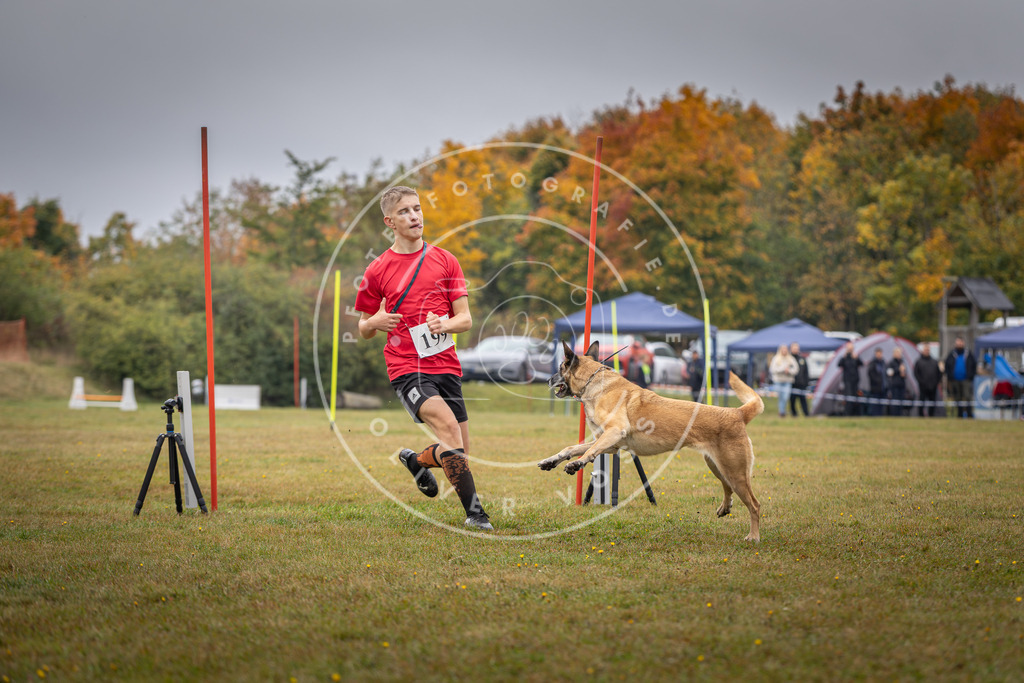 Pfotenfotografie_DV3A1197 | Hundefotografie, Tierfotograf, Pfotenfotografie, Fotoshooting Hund, Hunde Portrait, Hundesport, Hundeportraits, Heideshooting, Hunde, Sportfotograf, Hundefotograf, Turnierhundsport, THS,  - Realisiert mit Pictrs.com