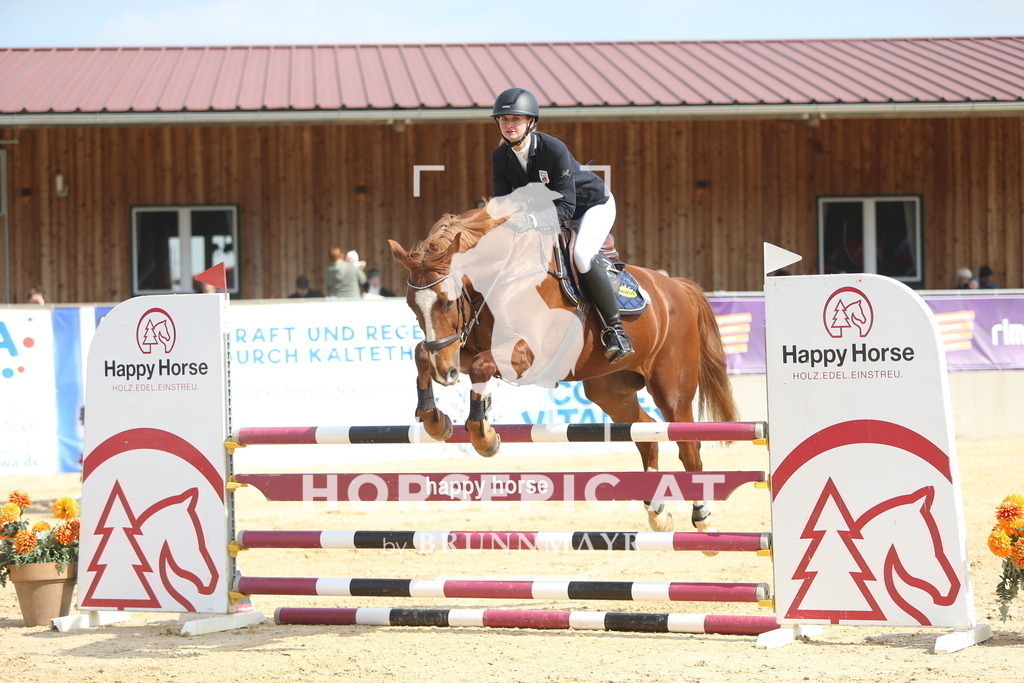 DL2Q1101 | Willkommen bei Brunnmayr - Design & Fotografie – Ihrem Spezialisten für Reitturniere und Pferdeveranstaltungen in Oberösterreich, Salzburg und Bayern! Seit über 17 Jahren sind wir leidenschaftlich dabei.