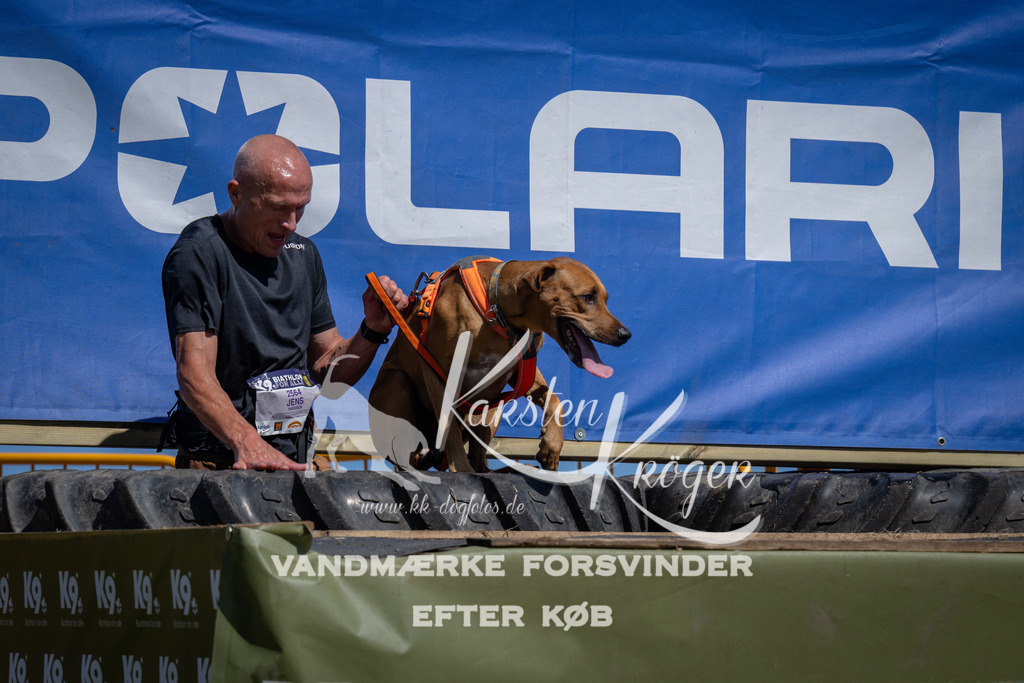 1242_ZZ96305 | kk-dogfotos