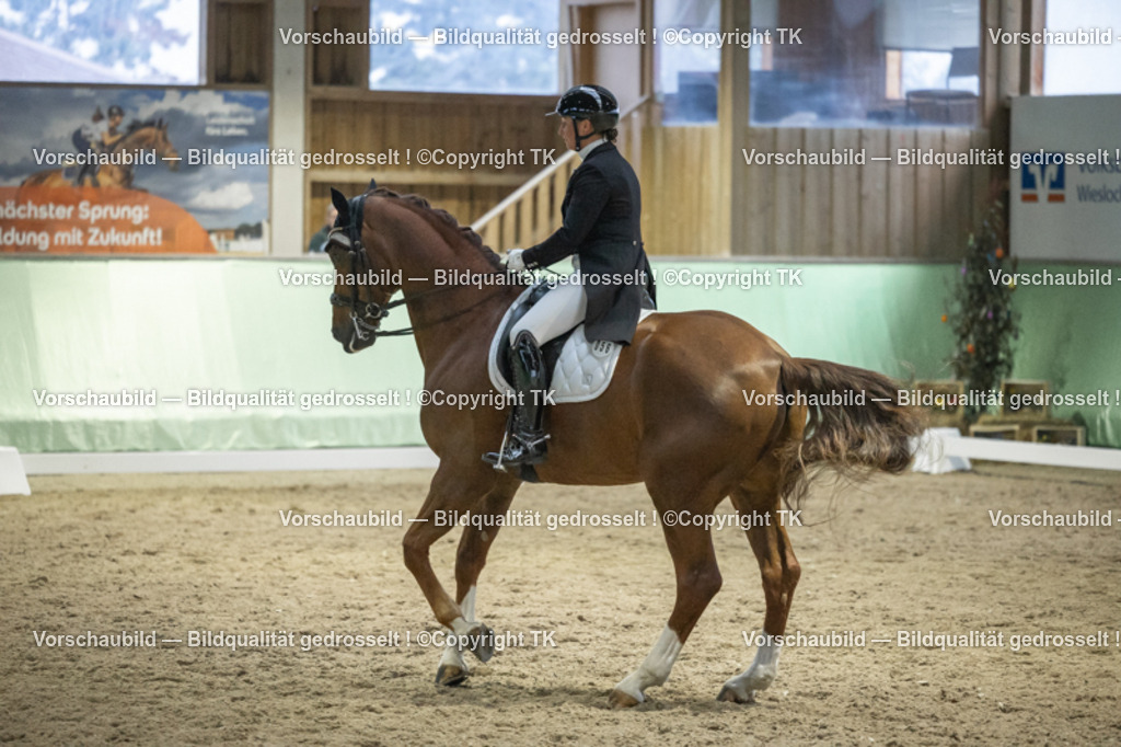 _D5A7147 | Emotionale Pferde- & People-Fotografie rund um Heidelberg, Leimen & Umgebung. Natürliche Fotos von Pferd, Mensch & Familie. Jetzt Termin sichern!