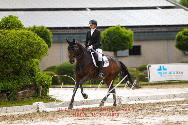 DKP40459 | Turniersportfotografie; Pferdefotografie; Dressurfotografie