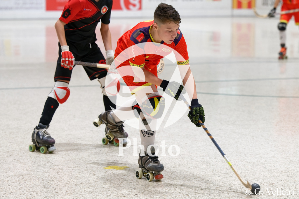 DSC_3779 | Velletri Photo