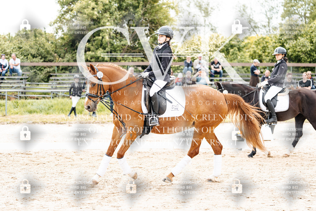 CK904310 | Turnierfotografie Pferdefotografie Trier Rheinland-Pfalz Pferdesport Reitsport Tierfotografie Sportfotografie Pferdevideo Pferdevideografie Equestrianvideography equestrianphotography  - Realisiert mit Pictrs.com