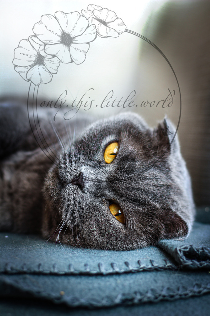 IMG_1220 | only.this.little.world - Realisiert mit Pictrs.com