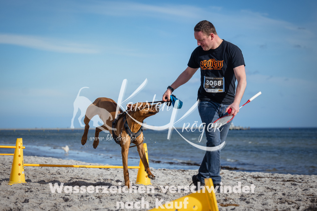 1337_ZZ92338 | kk-dogfotos