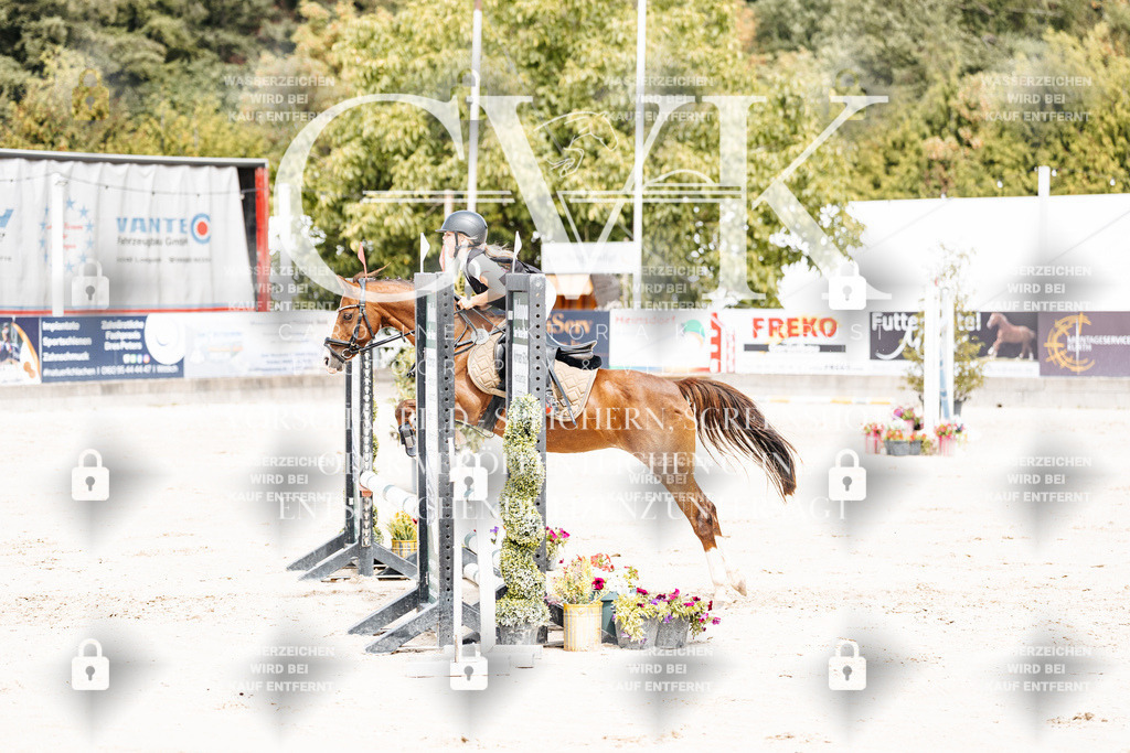 CK906764 | Turnierfotografie Pferdefotografie Trier Rheinland-Pfalz Pferdesport Reitsport Tierfotografie Sportfotografie Pferdevideo Pferdevideografie Equestrianvideography equestrianphotography  - Realisiert mit Pictrs.com