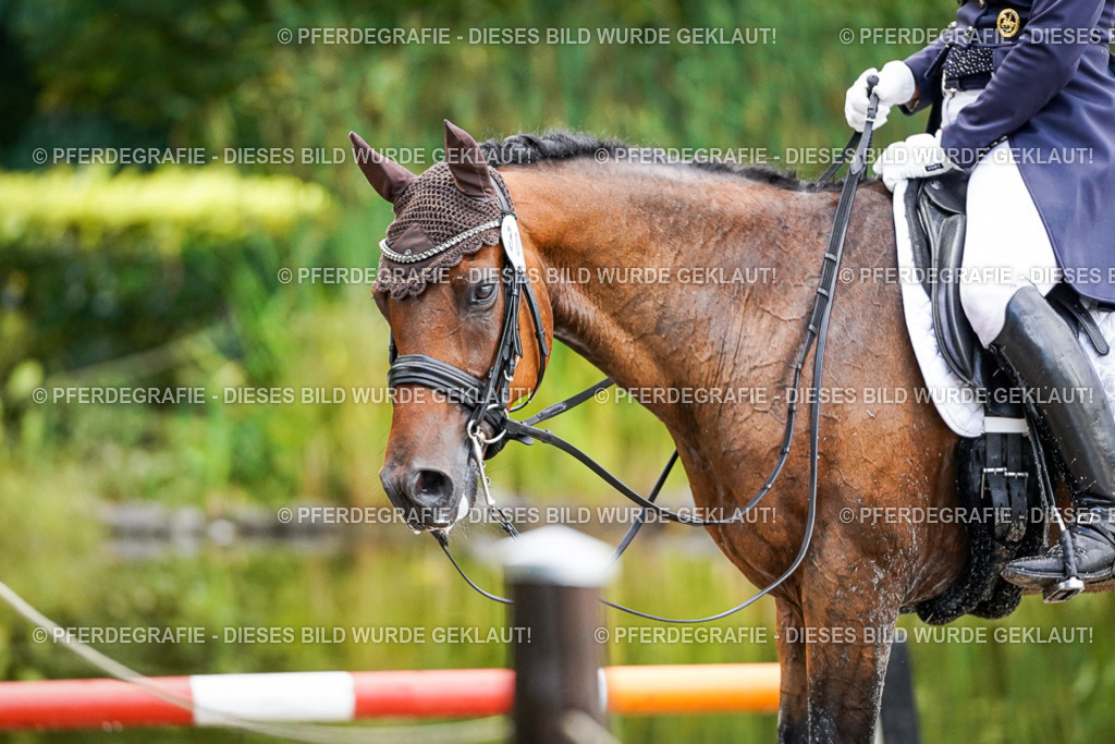 DSC00375 | Pferdegrafie