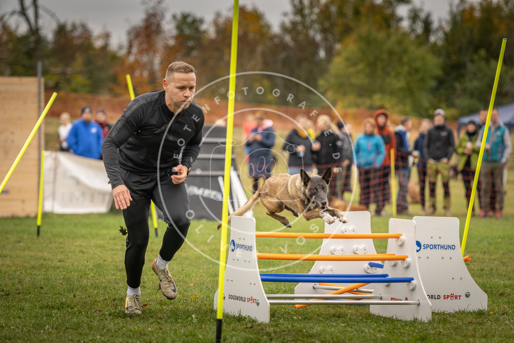 Pfotenfotografie_DV3A6949 | Hundefotografie, Tierfotograf, Pfotenfotografie, Fotoshooting Hund, Hunde Portrait, Hundesport, Hundeportraits, Heideshooting, Hunde, Sportfotograf, Hundefotograf, Turnierhundsport, THS,  - Realisiert mit Pictrs.com