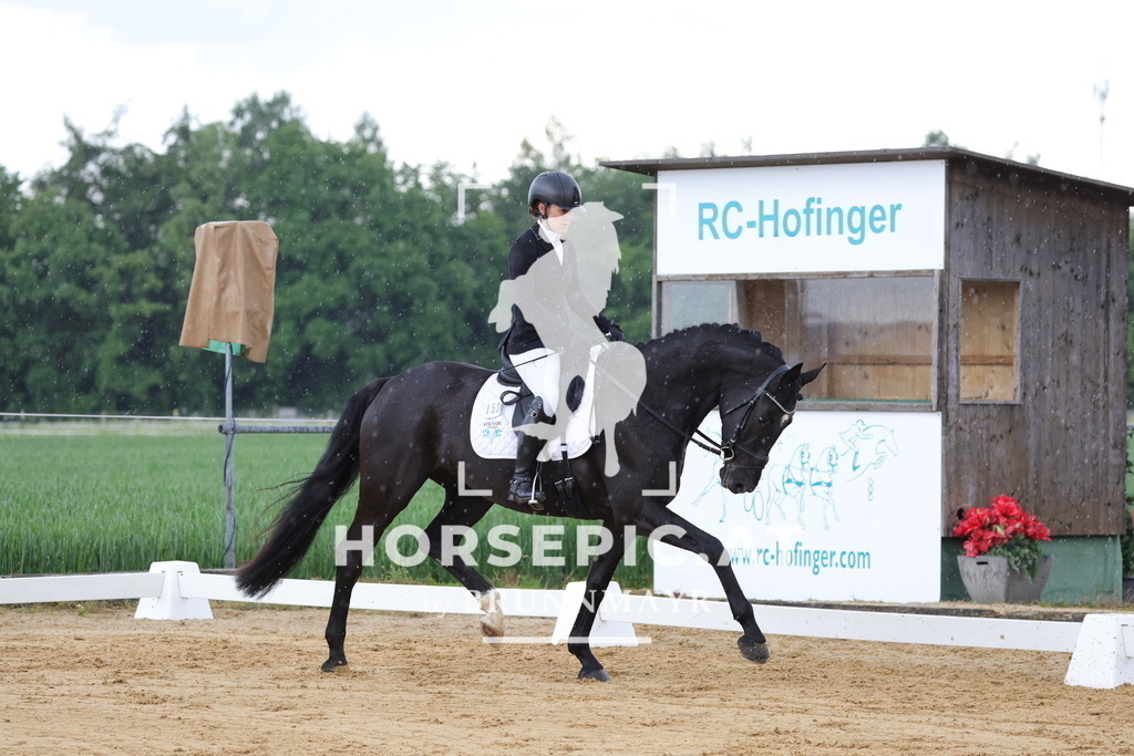 0P6A4001 | Willkommen bei Brunnmayr - Design & Fotografie – Ihrem Spezialisten für Reitturniere und Pferdeveranstaltungen in Oberösterreich, Salzburg und Bayern! Seit über 17 Jahren sind wir leidenschaftlich dabei.