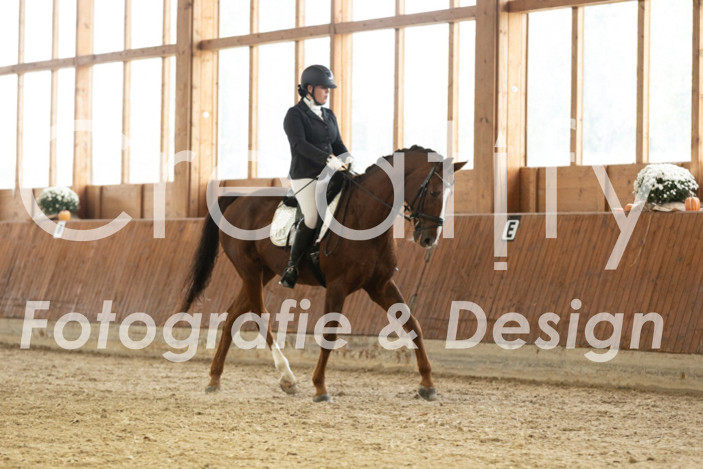 IMG_2827 | Creatify Fotografie