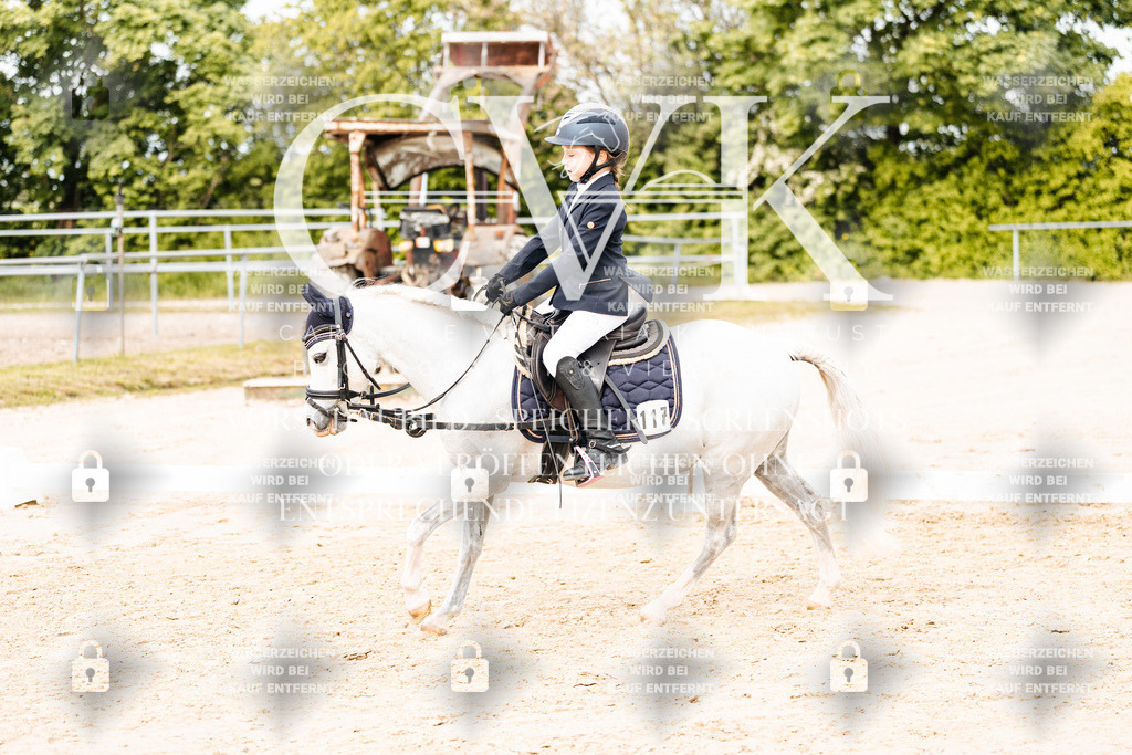 CK904681 | Turnierfotografie Pferdefotografie Trier Rheinland-Pfalz Pferdesport Reitsport Tierfotografie Sportfotografie Pferdevideo Pferdevideografie Equestrianvideography equestrianphotography  - Realisiert mit Pictrs.com